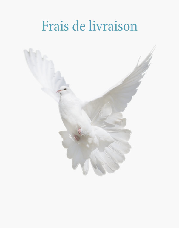 Frais de livraison