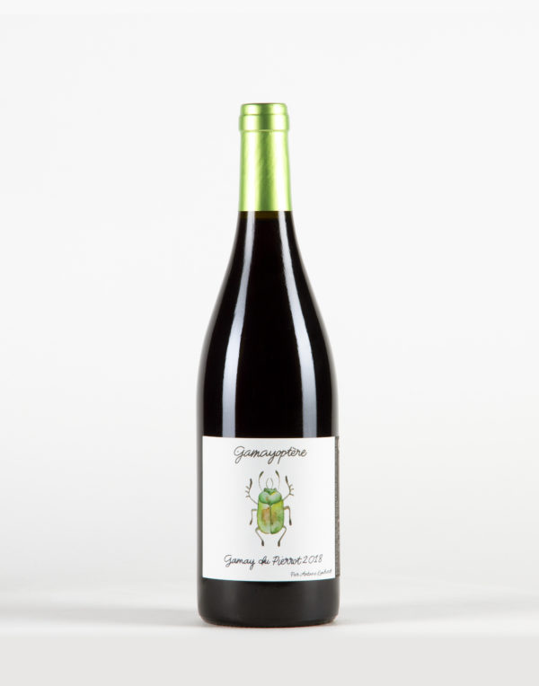 Gevrey-Chambertin Village Antoine Lienhardt Gevrey-Chambertin Village Antoine Lienhardt