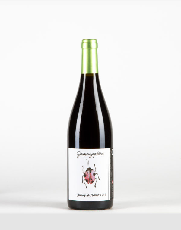 Gamayoptère Coteaux Bourguignons, Antoine Lienhardt Gamayoptère Coteaux Bourguignons, Antoine Lienhardt