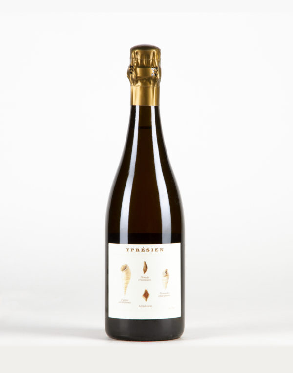 Yprésien Champagne, Champagne Legrand Latour