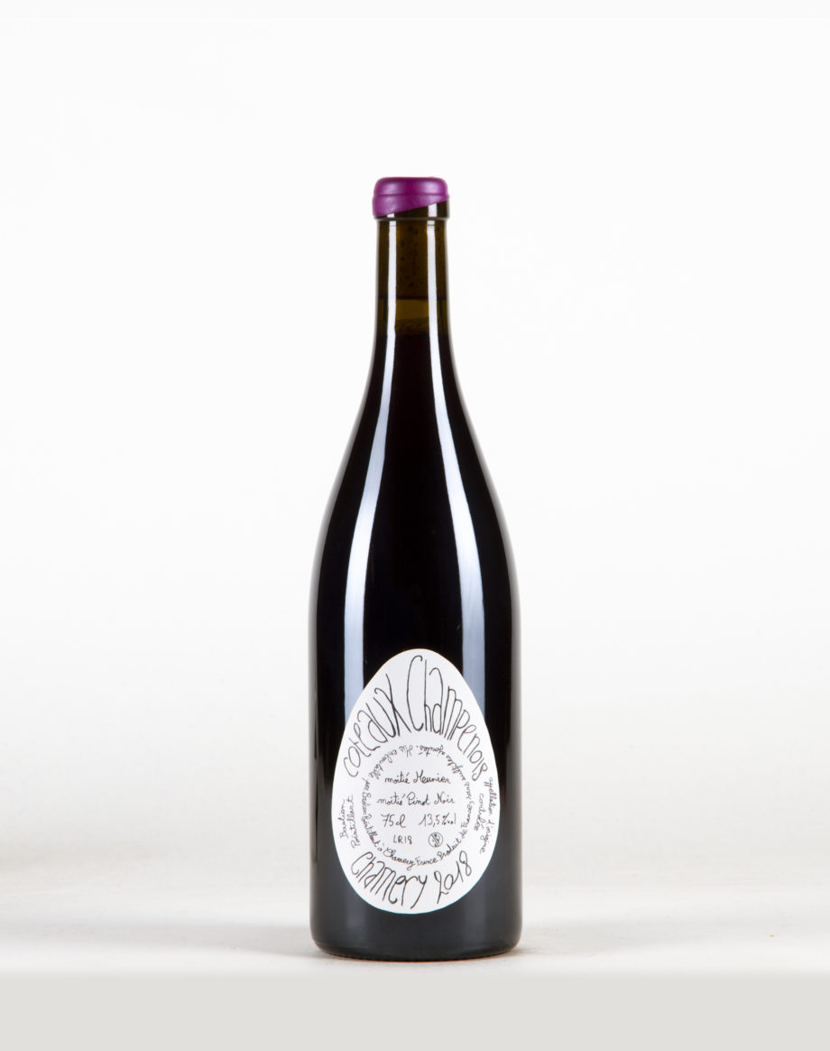 Pinot Meunier & Noir Coteaux champenois, Bastien Pointillart
