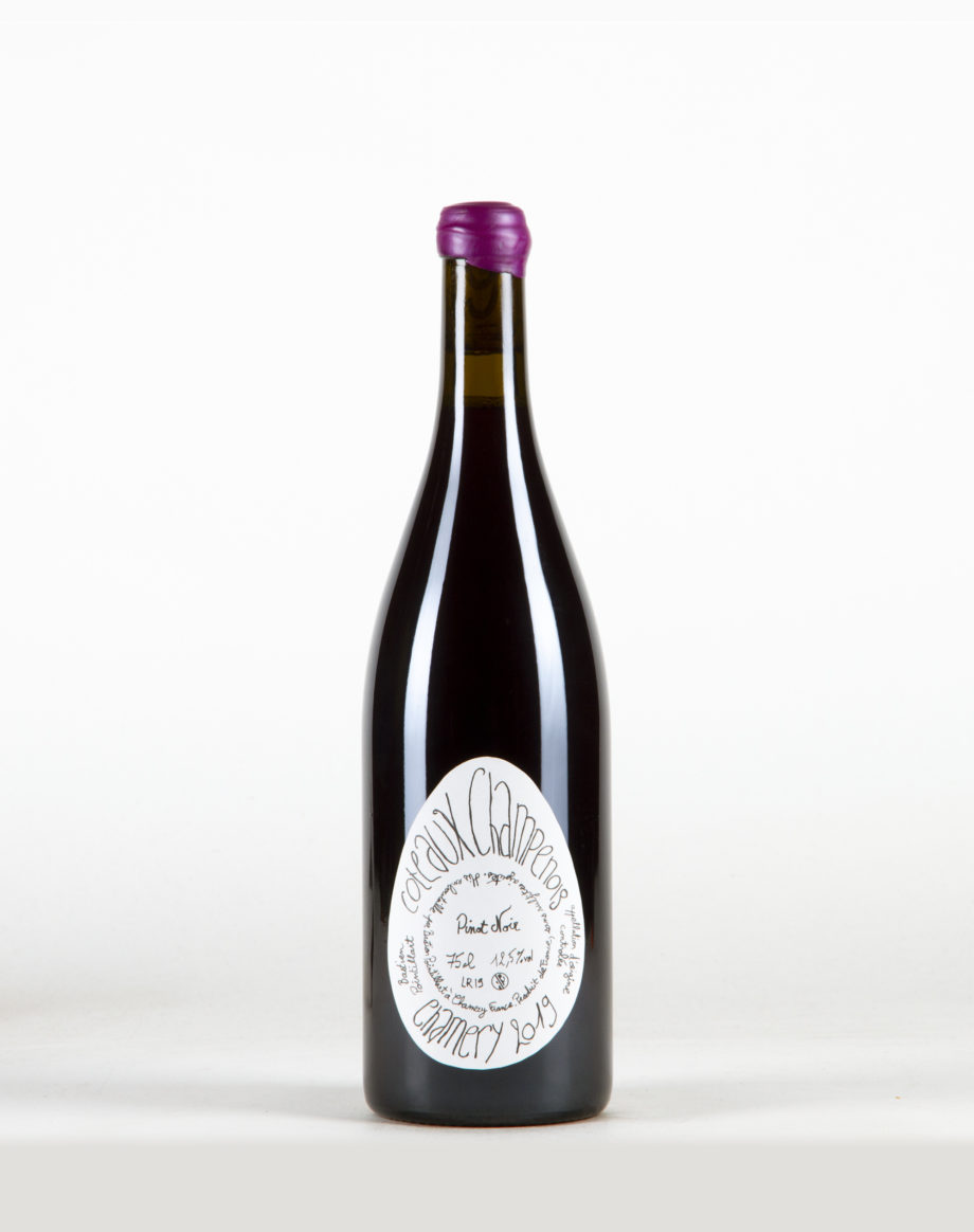 Pinot Noir Coteaux champenois, Bastien Pointillart