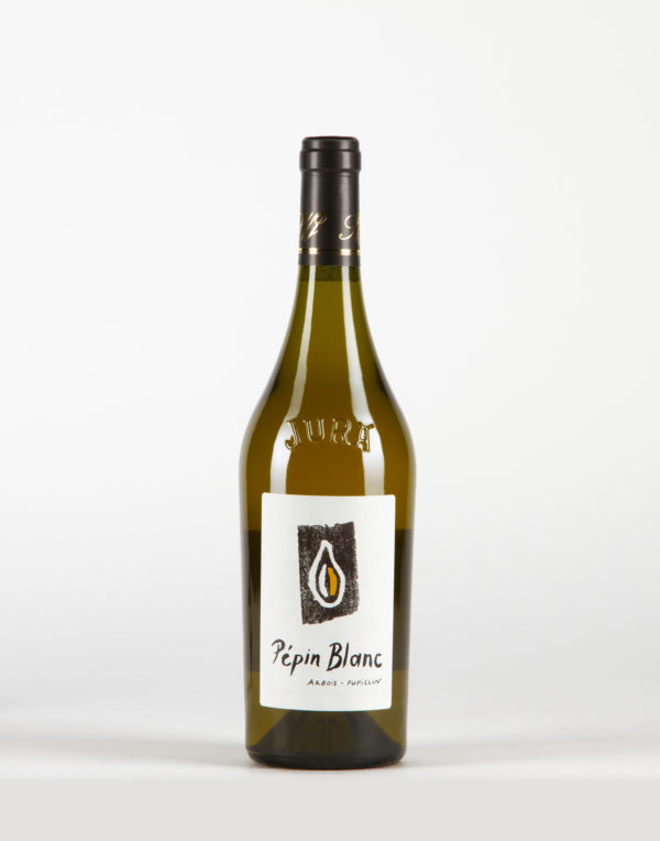 Pépin Blanc Vin de France, Kevin Bouillet