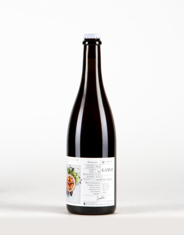 Vinifera Gamay VI Brasserie Ammonite