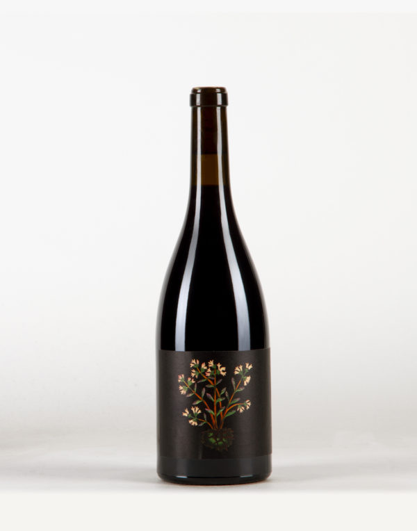 Novêra Vin de France, Tailleurs Cueilleurs