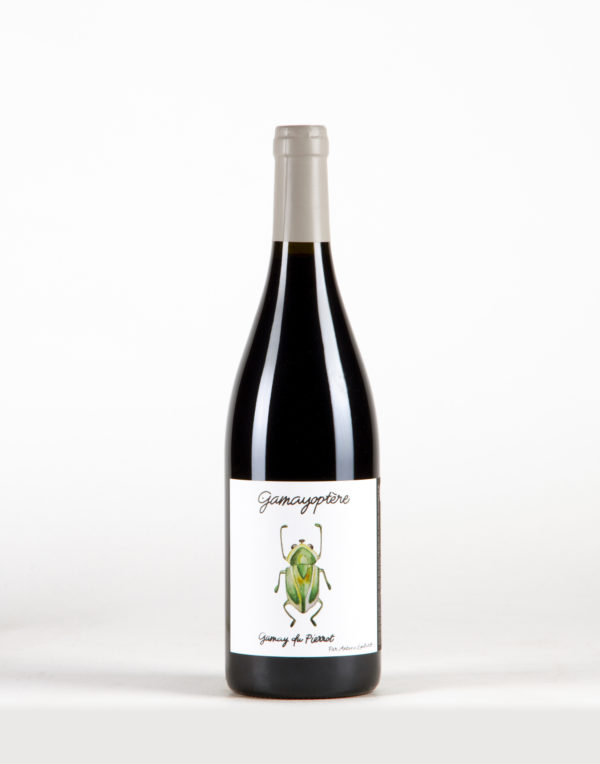 Gamayoptère Coteaux Bourguignons, Antoine Lienhardt