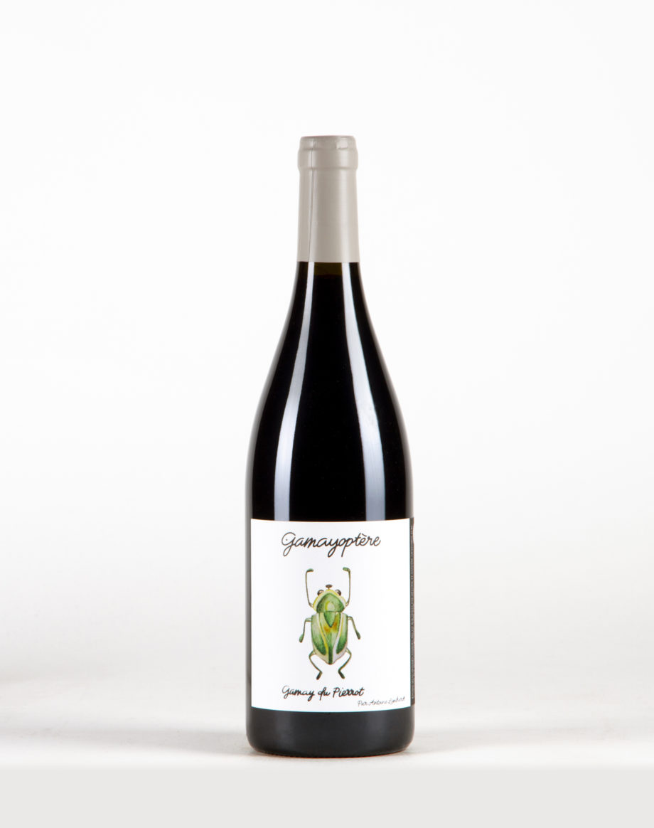 Gamayoptère Coteaux Bourguignons, Antoine Lienhardt