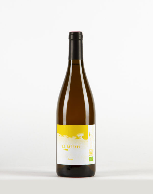 Le Repenti blanc Vin de France, Thibault Stephan