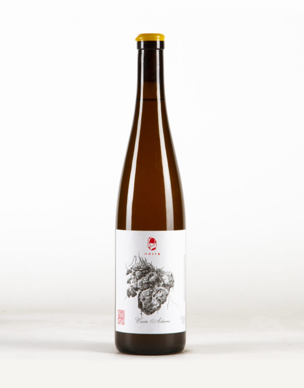 Alanna Riesling Rheinhessen, Marto Weingut