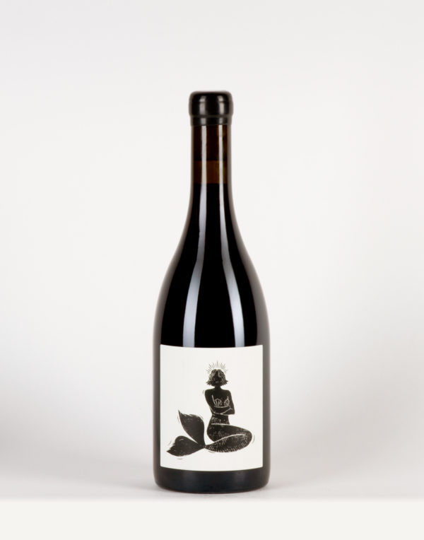 Pattaya Bourgogne, Vin Noé