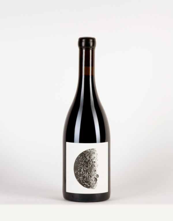 Pattaya Bourgogne, Vin Noé