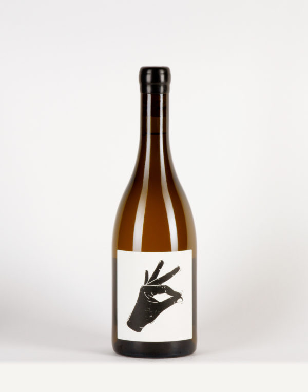 Pattaya Bourgogne, Vin Noé