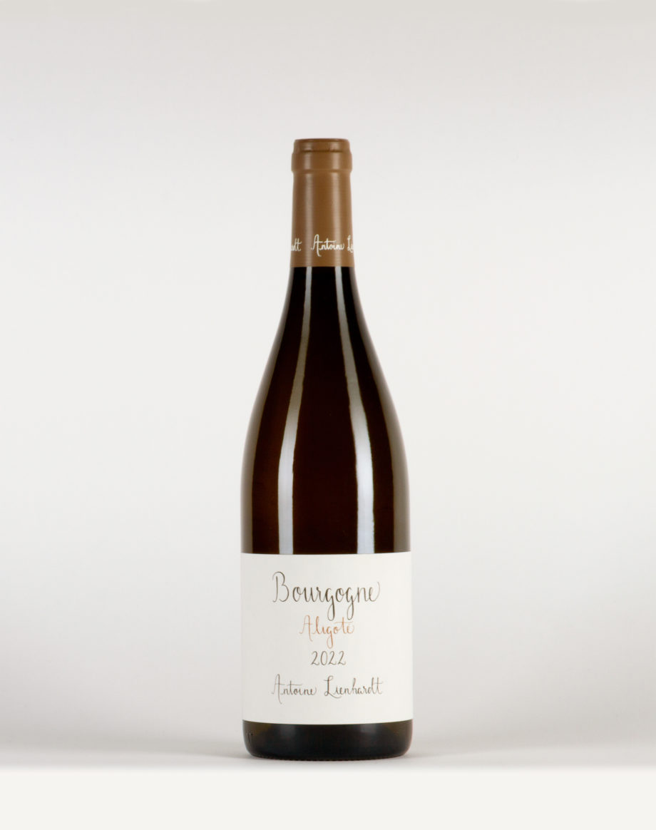 Bourgogne Aligoté Antoine Lienhardt