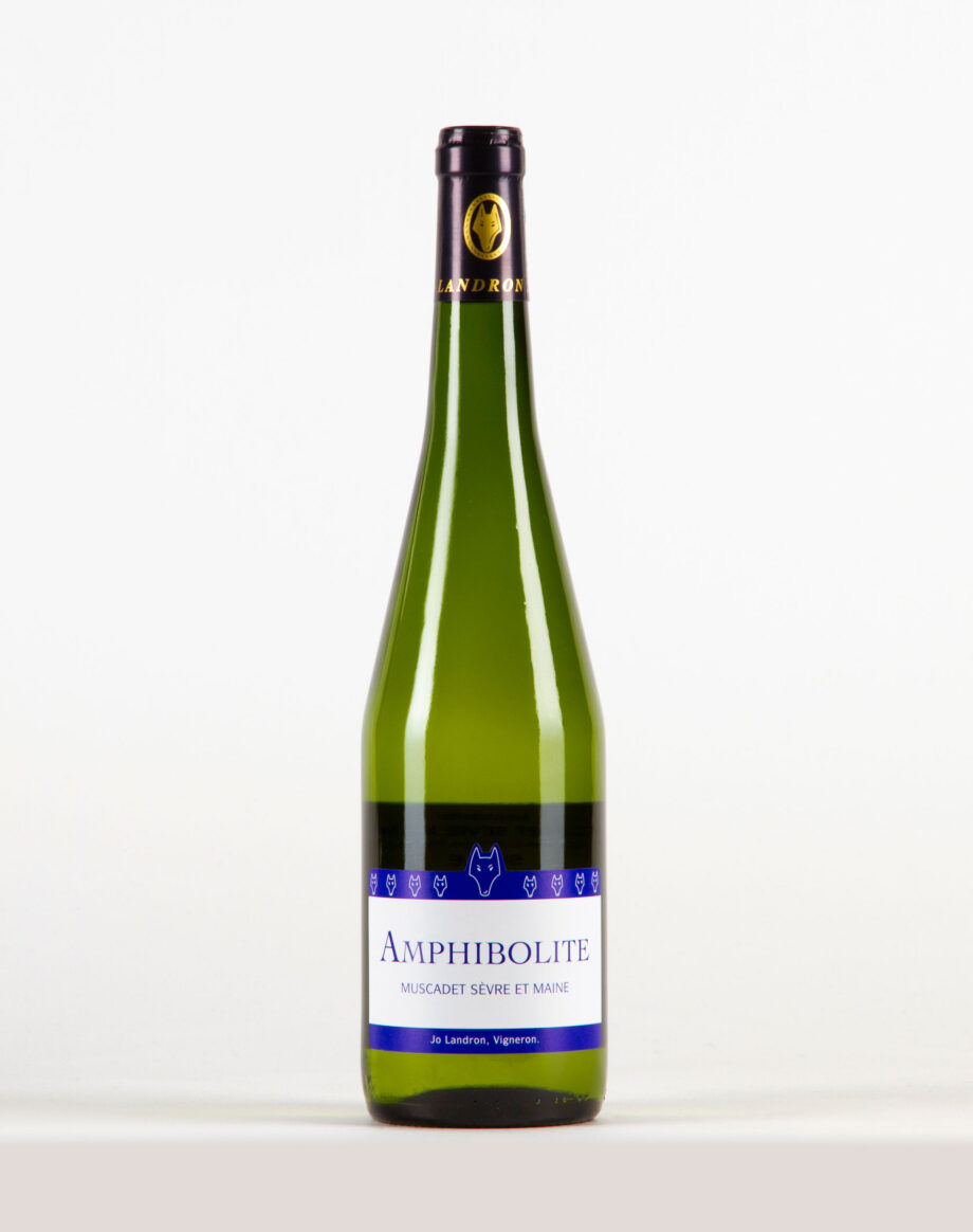 Amphibolite Muscadet Sèvre et Maine, Domaines Landron