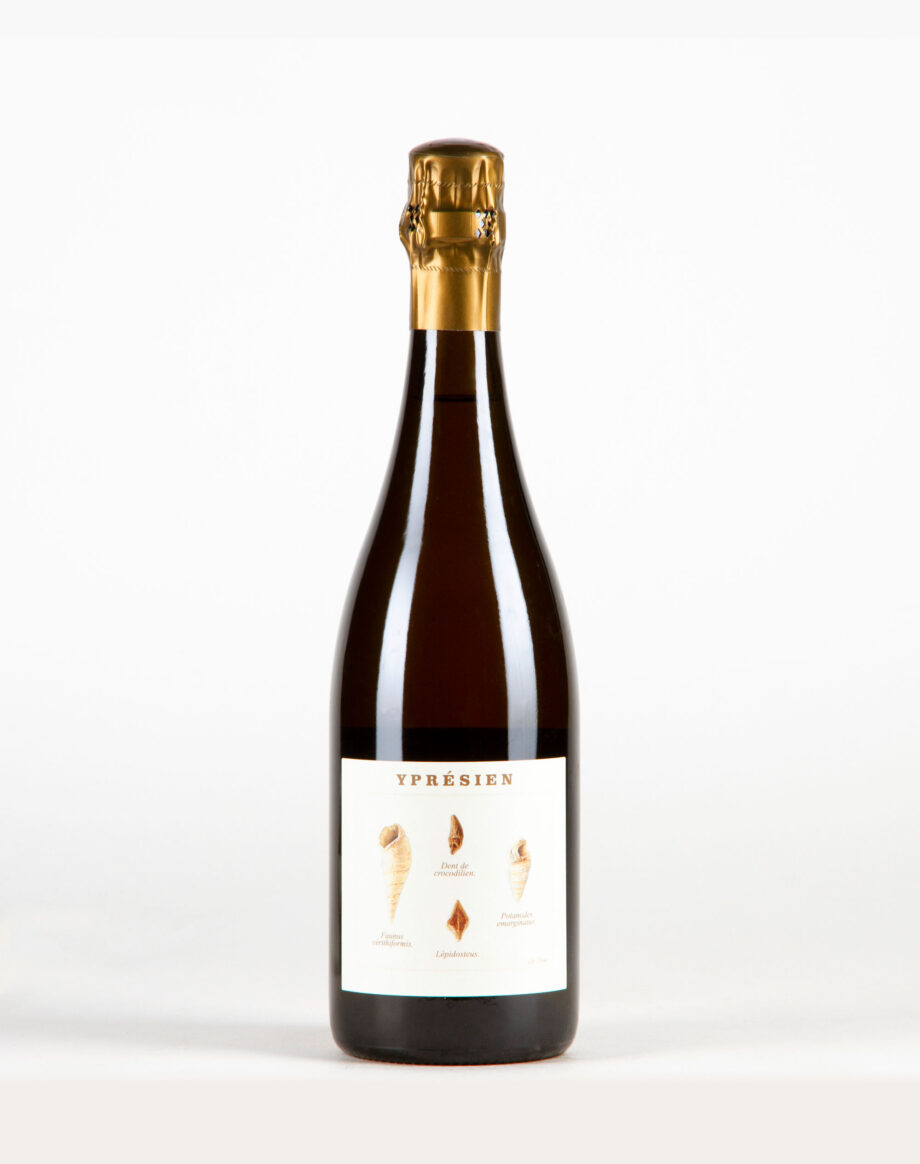 Yprésien R20 Champagne, Legrand Latour