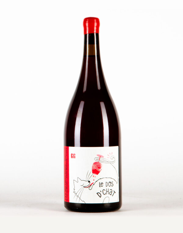 Gamay G.G. Vin de France, Fabrice Dodane