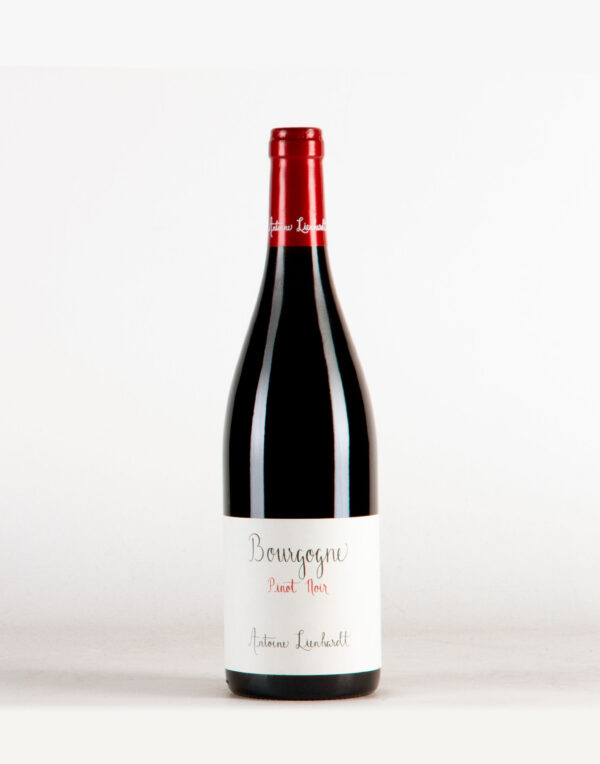 Bourgogne Rouge Antoine Lienhardt