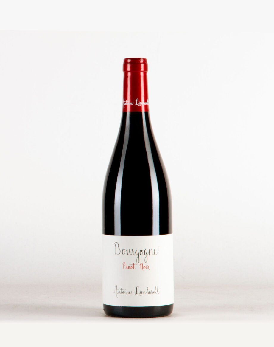 Bourgogne Rouge Antoine Lienhardt