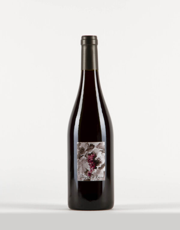 Poignée de Raisins Côtes du Rhône, Domaine Gramenon