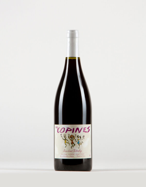 Les Copines Vin de France, Domaine Jean Louis Tribouley